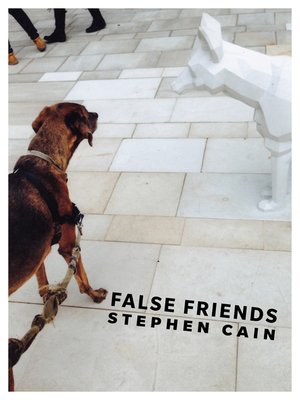 cover image of False Friends